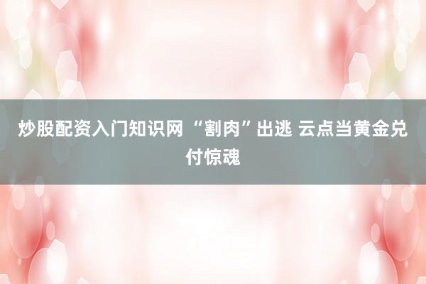 炒股配资入门知识网 “割肉”出逃 云点当黄金兑付惊魂
