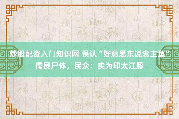 炒股配资入门知识网 误认“好意思东说念主鱼”儒艮尸体，民众：实为印太江豚