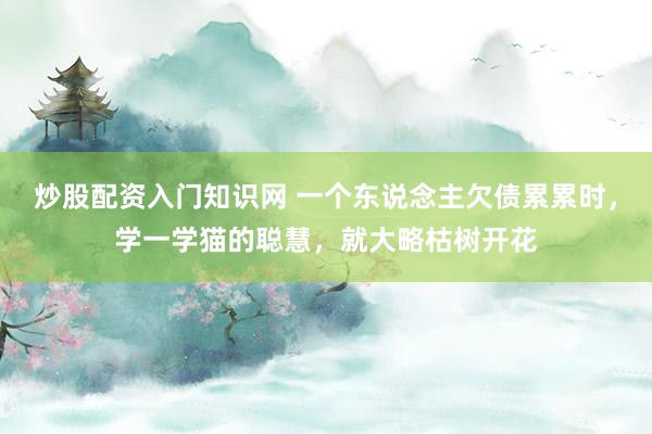 炒股配资入门知识网 一个东说念主欠债累累时，学一学猫的聪慧，就大略枯树开花