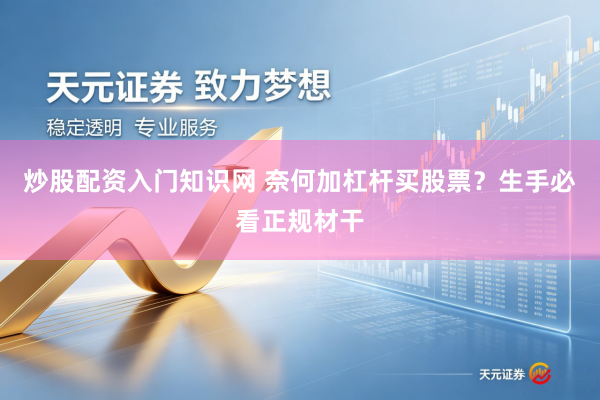 炒股配资入门知识网 奈何加杠杆买股票？生手必看正规材干